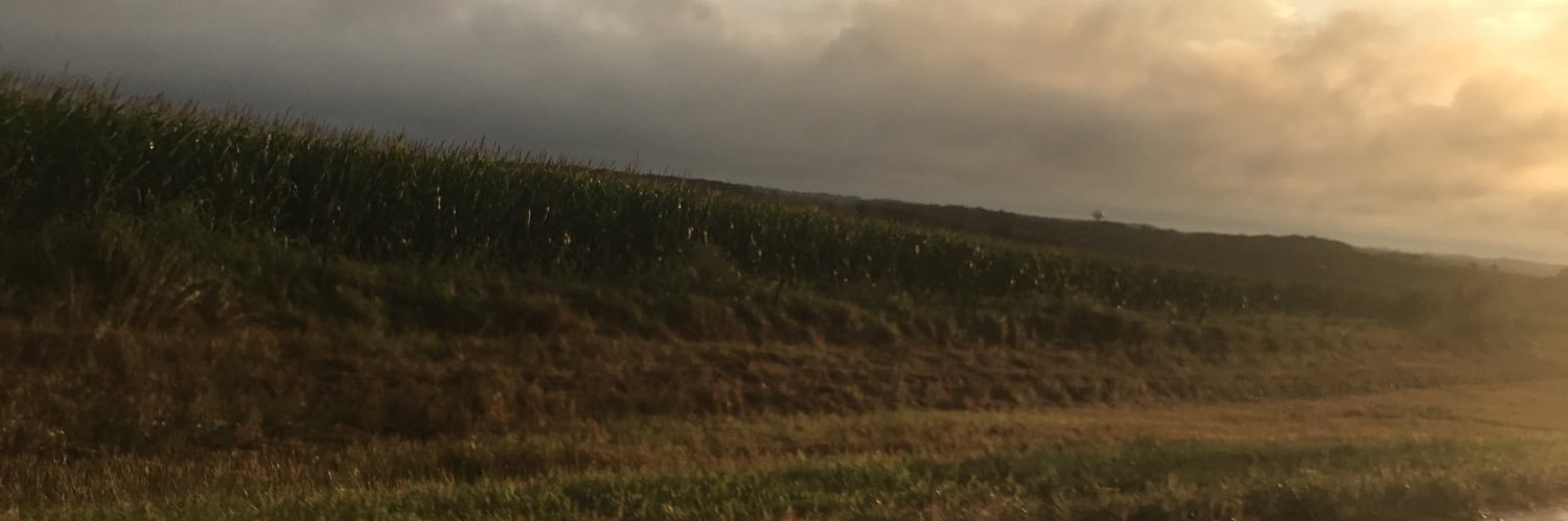 farrahonbicycle's profile banner image