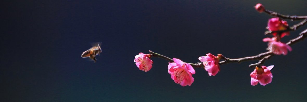 JazGuerrra's profile banner image