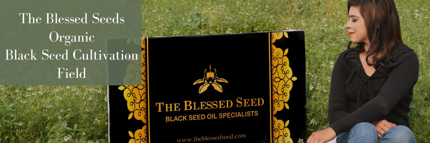 theblessedseed's profile banner image