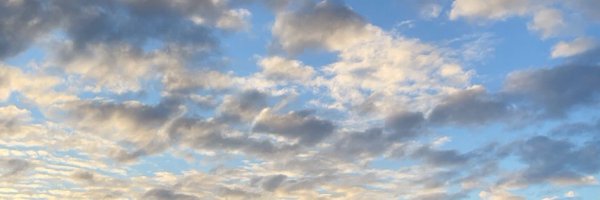 jjohnson22101 Profile Banner