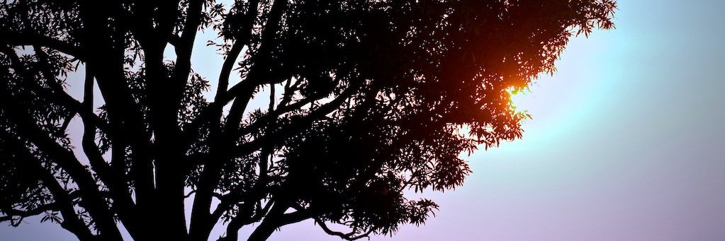 bum_balu's profile banner image