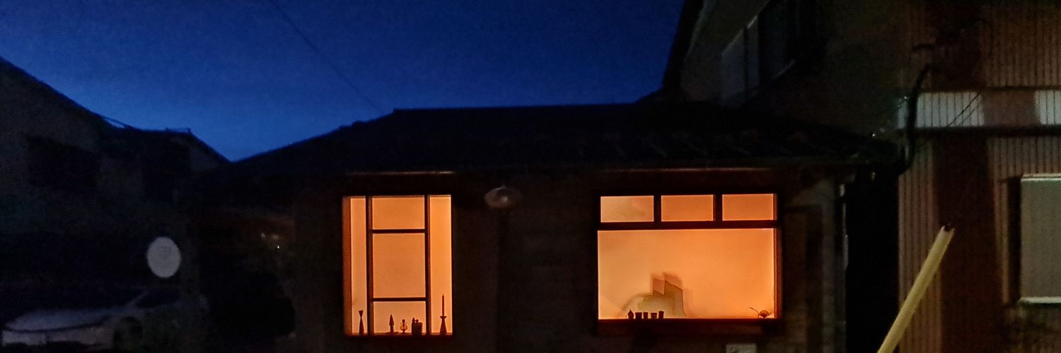LzLemonCat's profile banner image