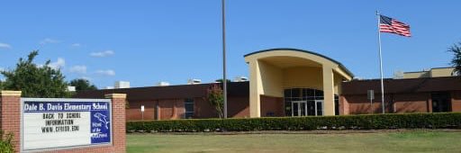 Lauren Hall 🐬 banner