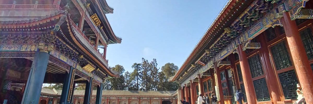 thedanseamarks's profile banner image