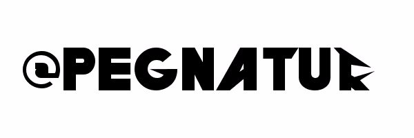 pegnatuk's profile banner image