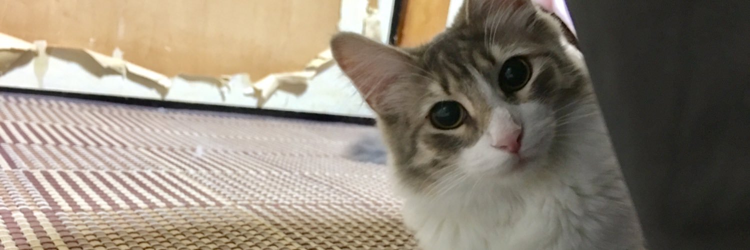 otsuka_kadoman's profile banner image