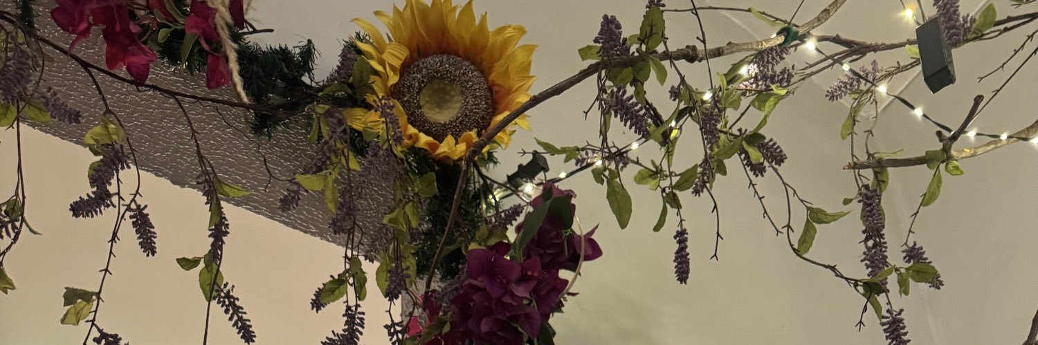 Mestma's profile banner image