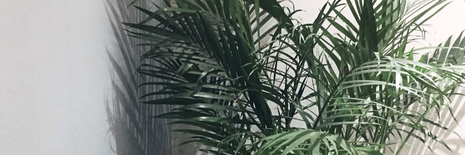 Twitter banner for @Cleanliness
