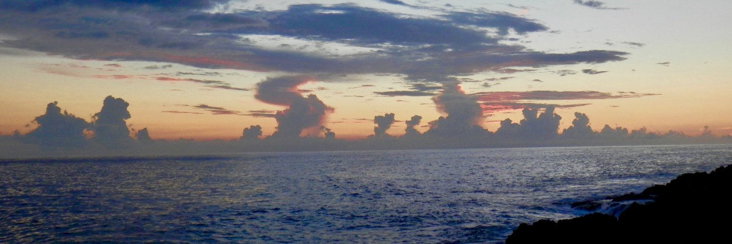 incognitogypsy's profile banner image