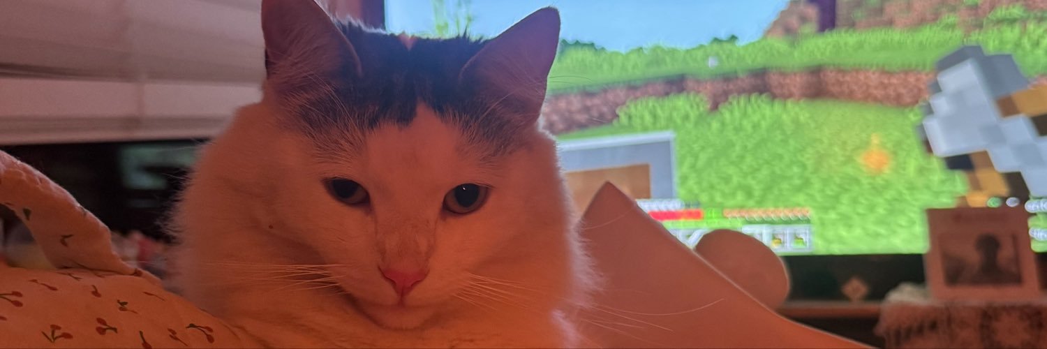 ilovebag3ls's profile banner image