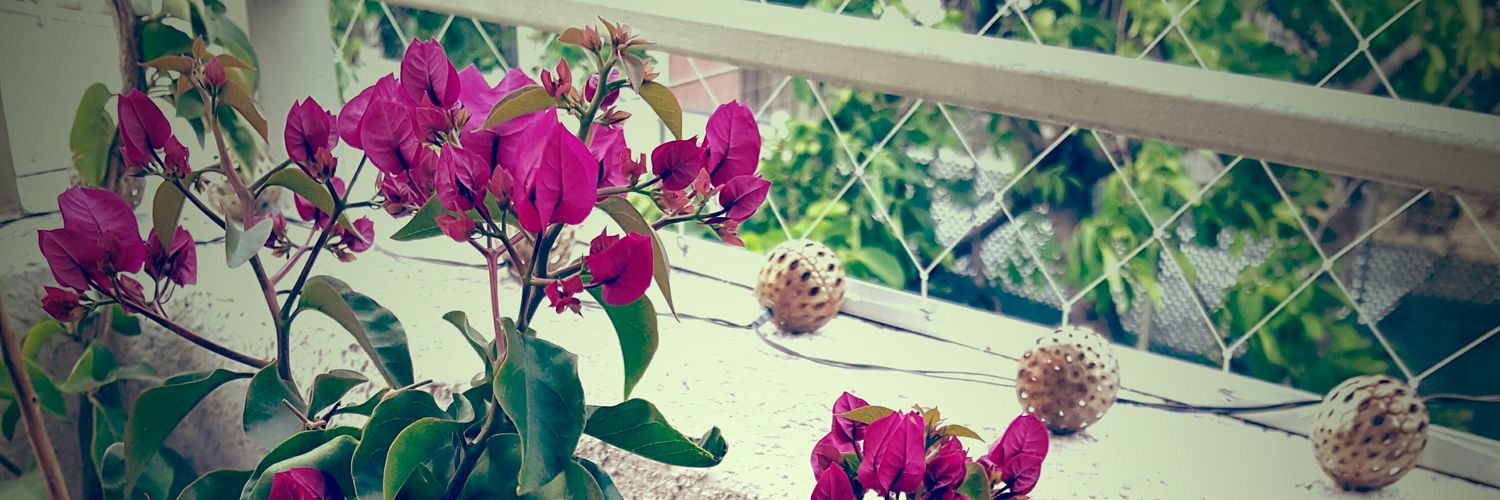 thaliearaneda's profile banner image
