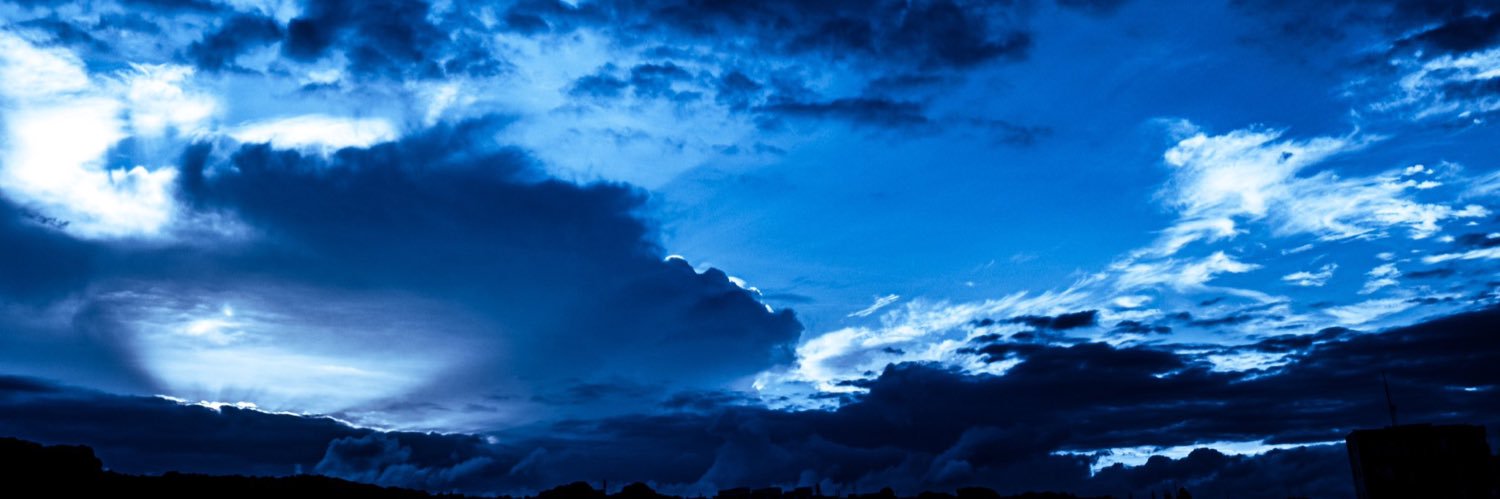 แมวเหยอ banner