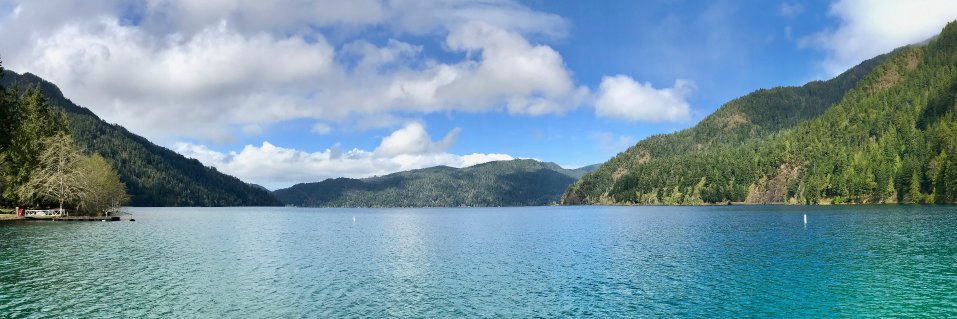 Mark Sittig, MD banner