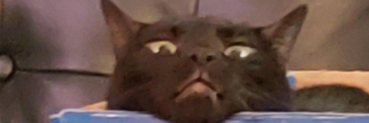 tmWhisker's profile banner image