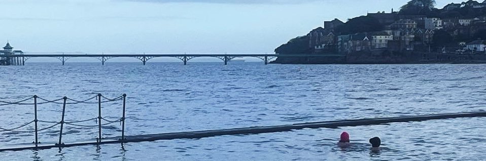 Amy Trevaskus banner