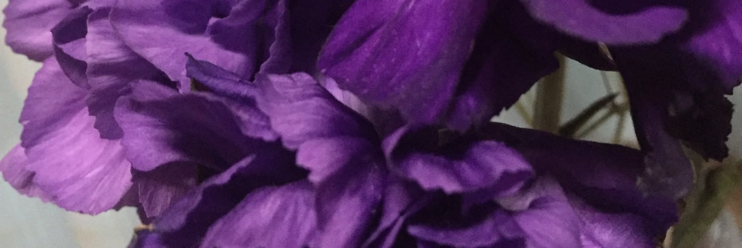 DoodleAmy28's profile banner image