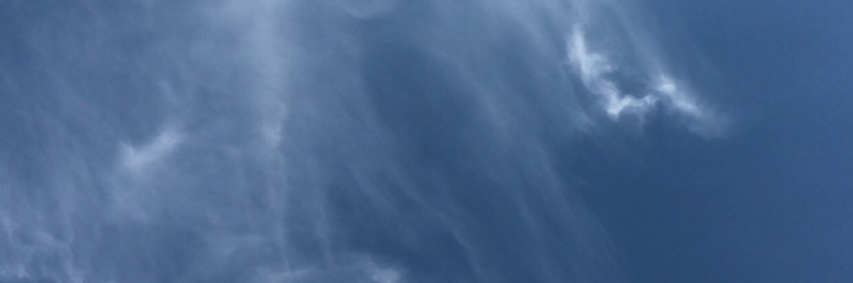 brittdebont's profile banner image