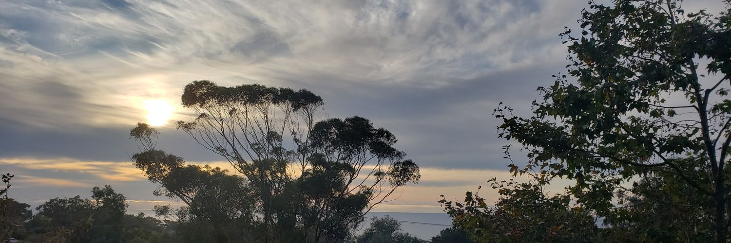 CebrynskiSarah's profile banner image