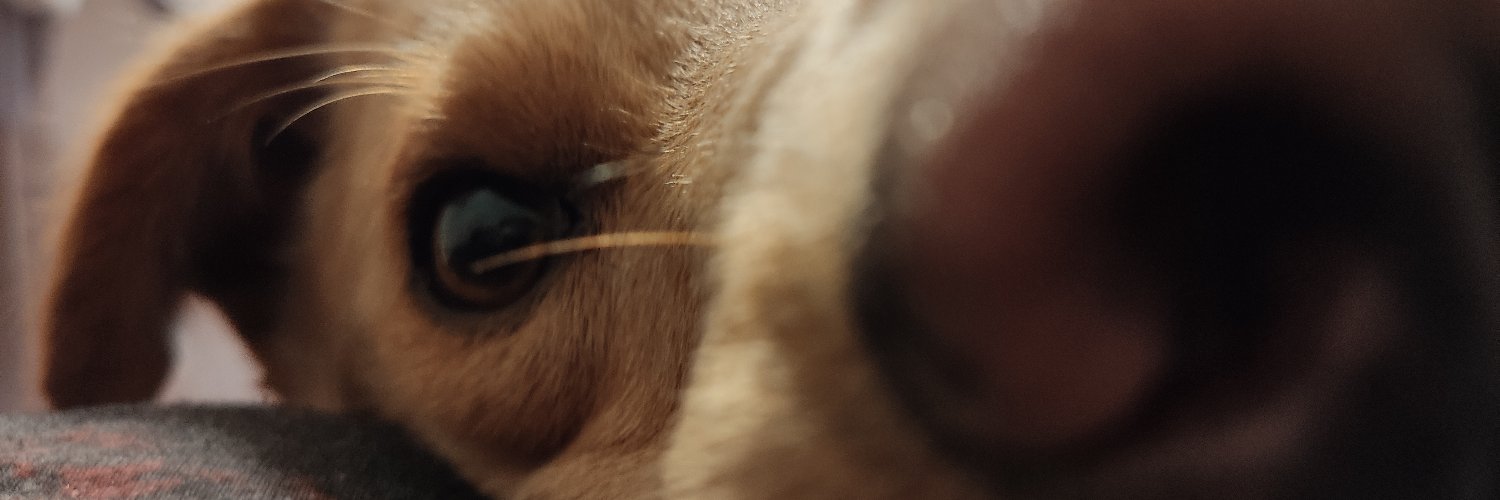 HdezMonze's profile banner image