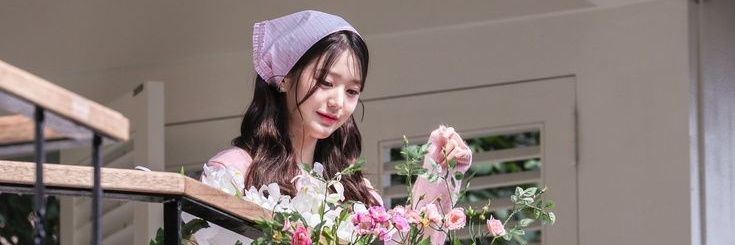Dianie banner