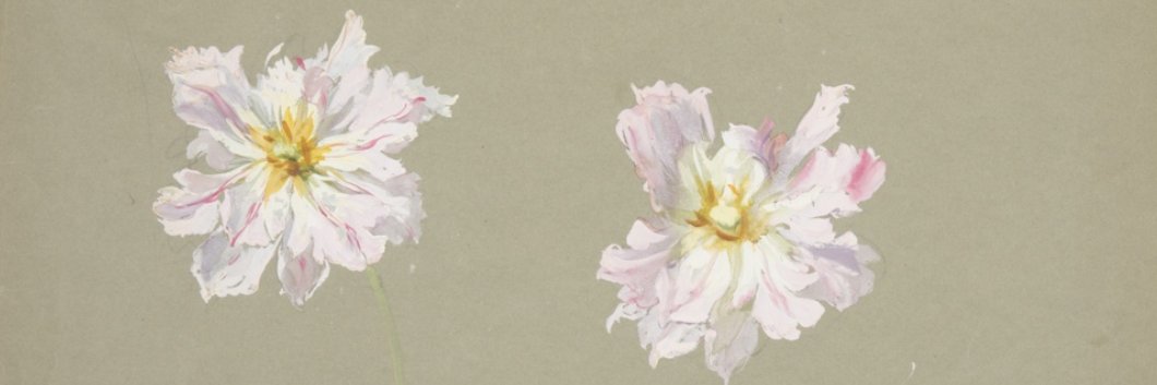 pbandjane's profile banner image