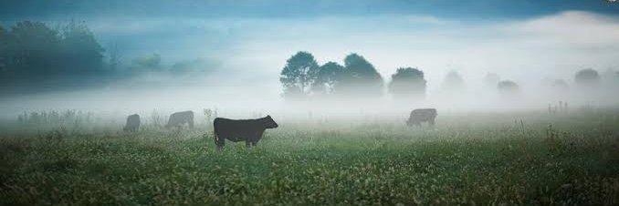 Leon_Moos's profile banner image
