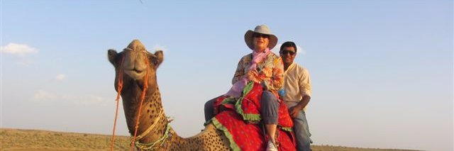ShivalikHoliday's profile banner image