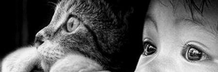 luzeclectica's profile banner image