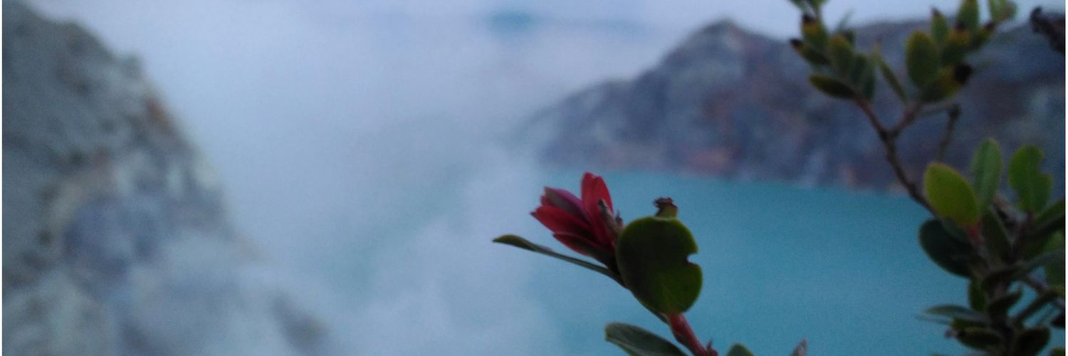 Roibima's profile banner image