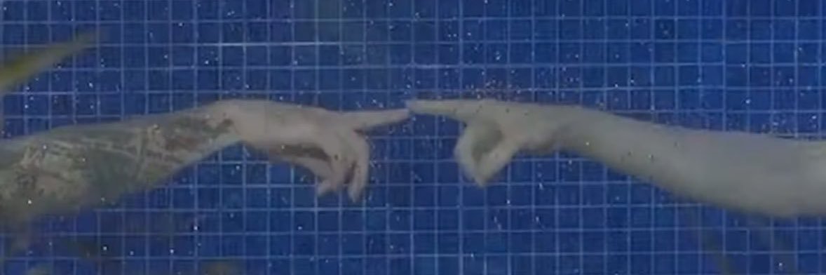 ScubaSarahi's profile banner image