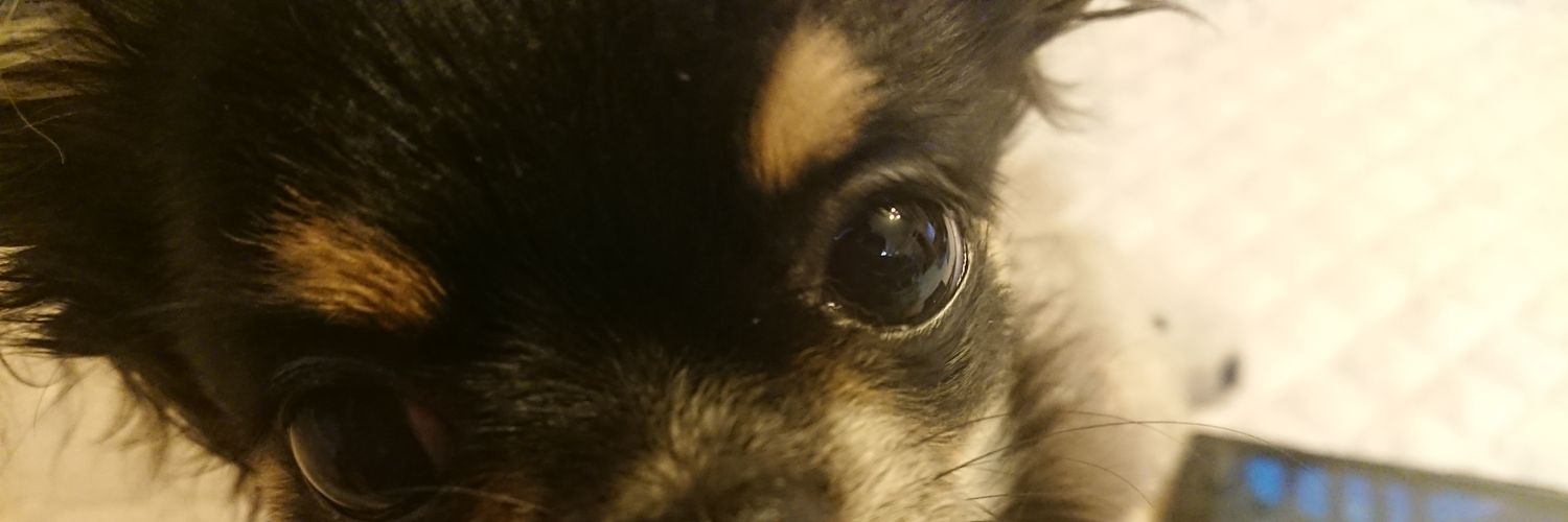 bokebokesky's profile banner image
