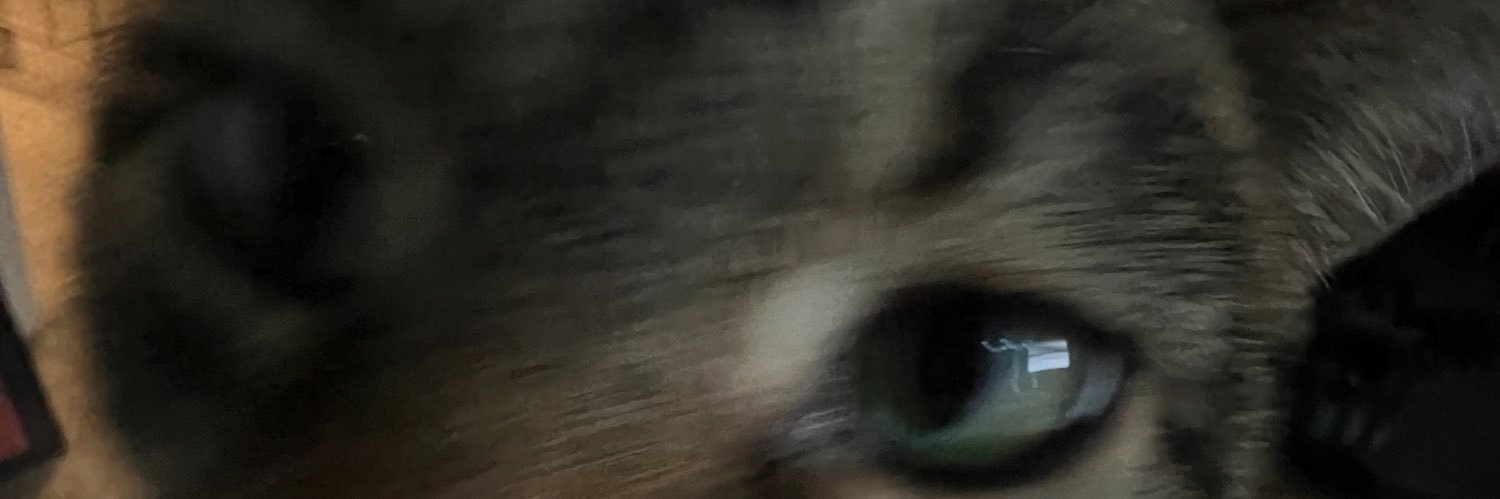 BFScord's profile banner image