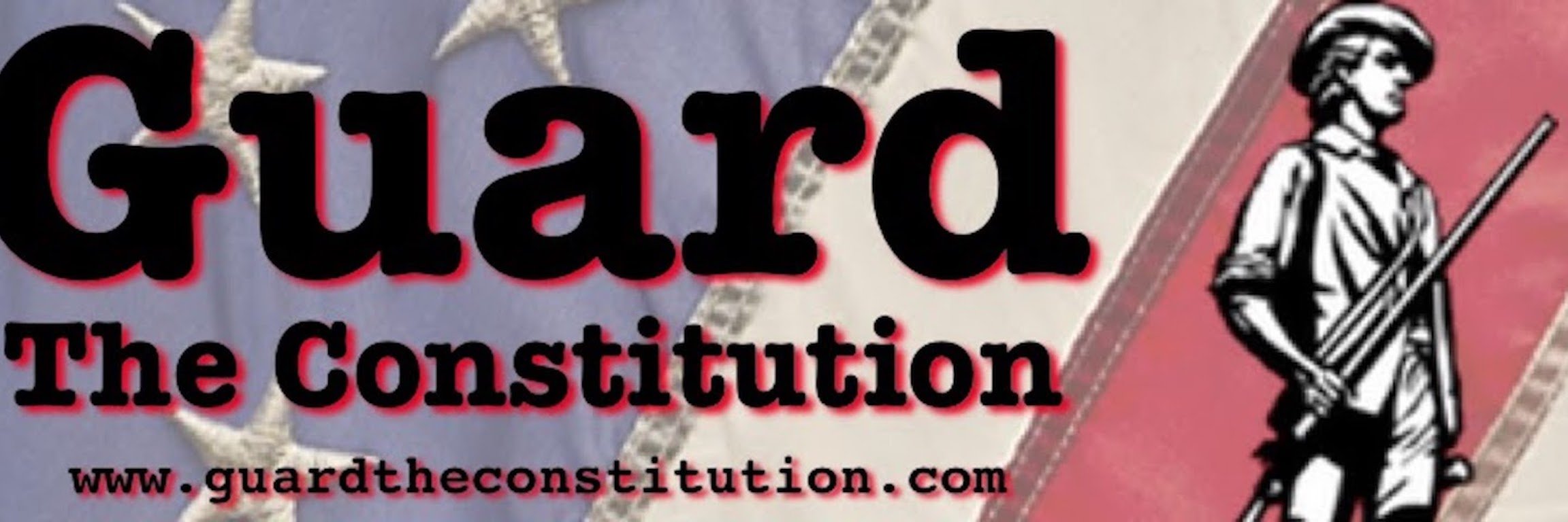 Guard The Constitution 🇺🇸 banner