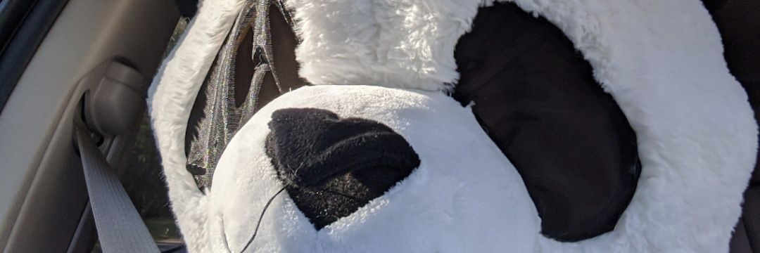 genzanon13's profile banner image
