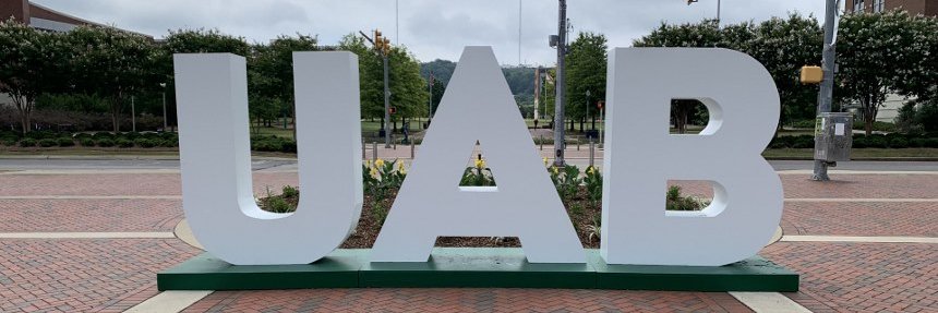 UAB CDIB's banner