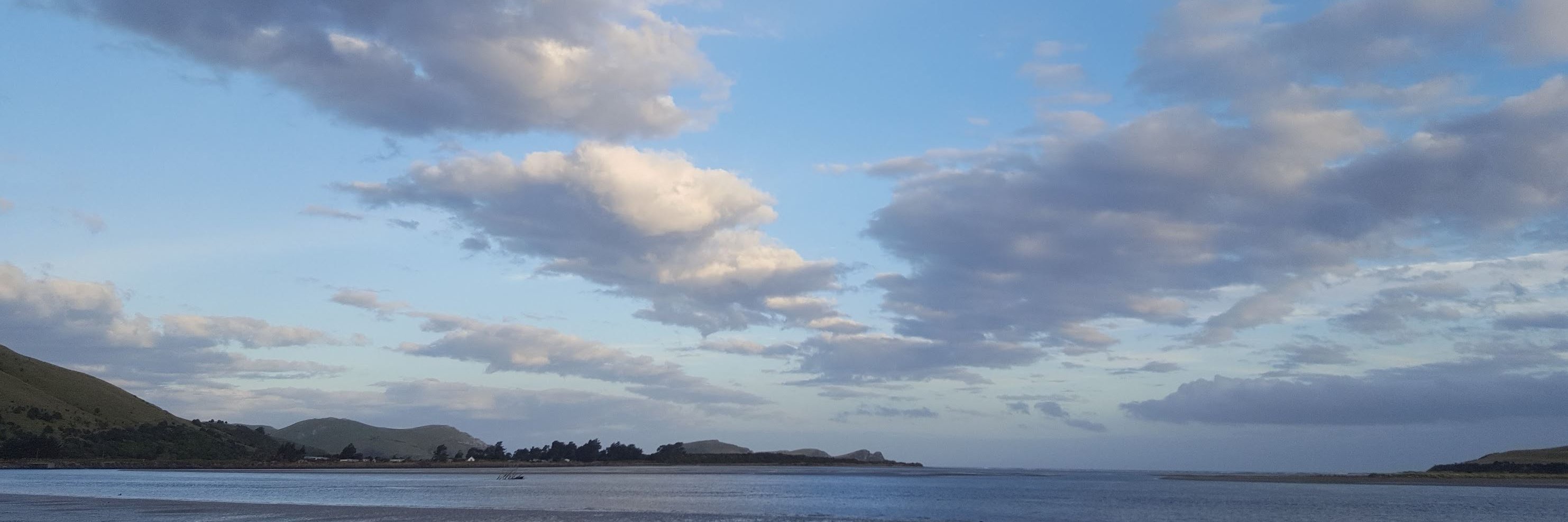 jo nicol banner
