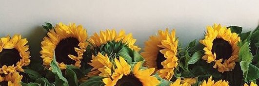 SilviaASecas_'s profile banner image