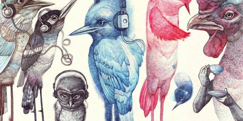 anpira's profile banner image