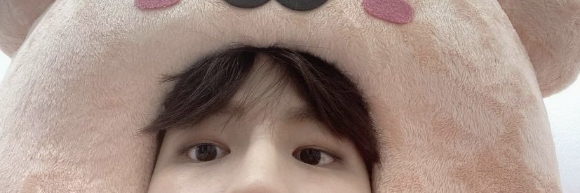 incorrect stray kids banner