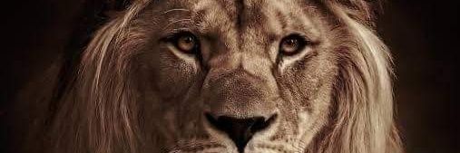 nwamariah's profile banner image
