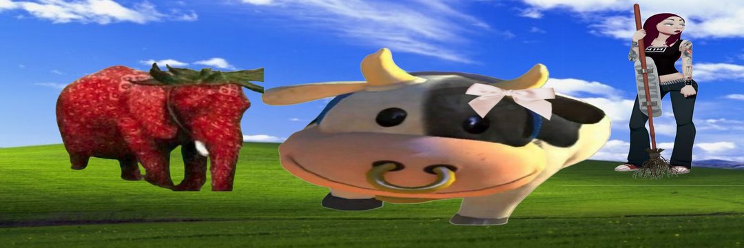 maer's banner