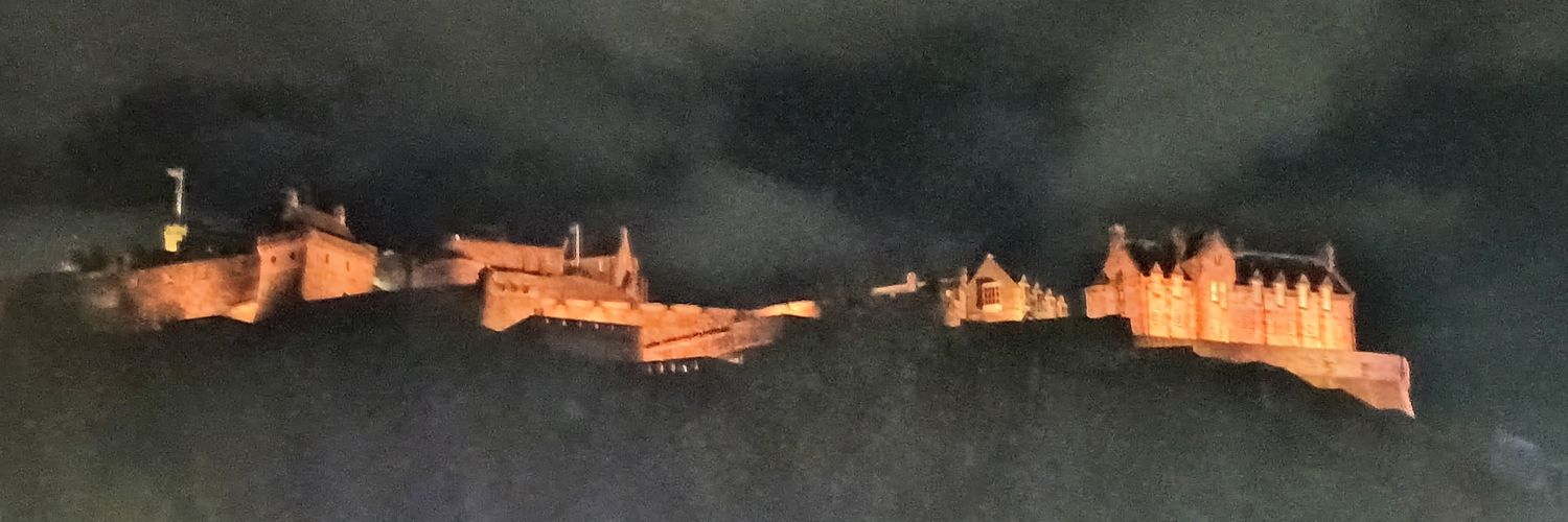 Massimo Vassalli banner