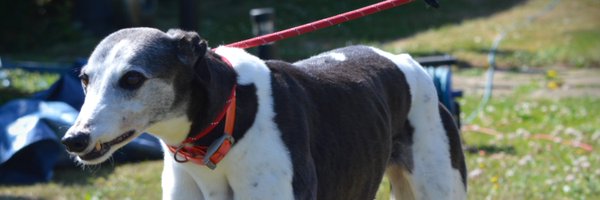 RetGreys_Cbury Profile Banner