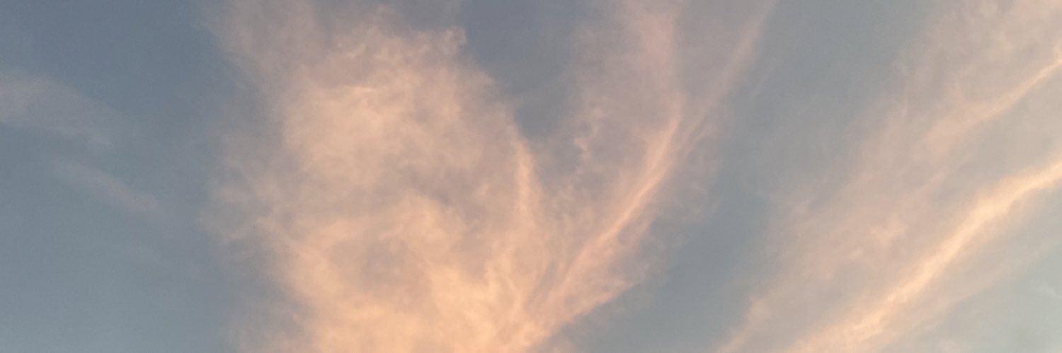 mieczlydia's profile banner image