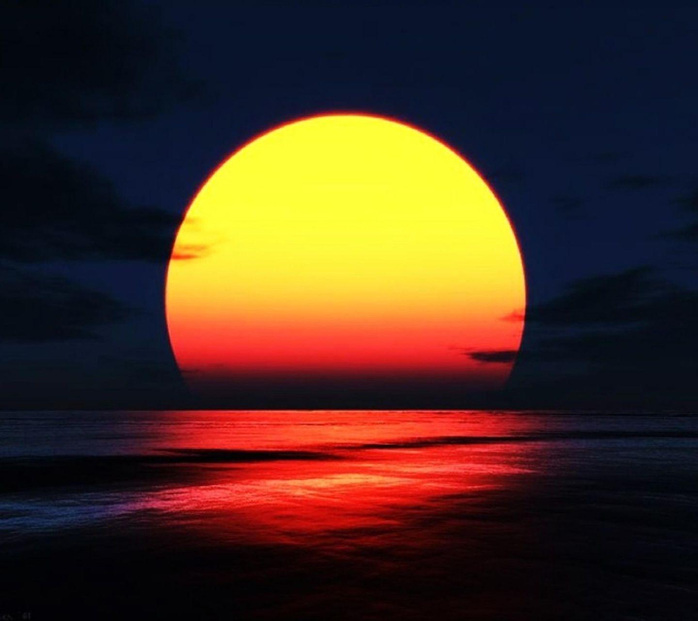 David_jitsu's profile banner image