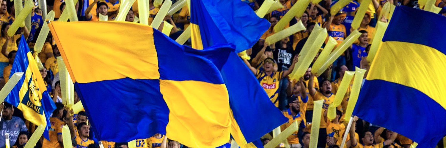 pedroanh's profile banner image