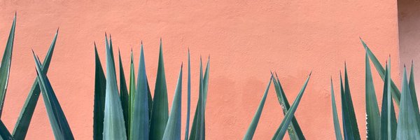 CultureClimax Profile Banner