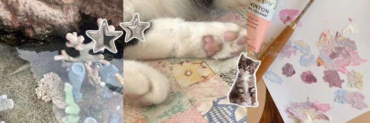 chloe ༉‧₊˚.'s banner