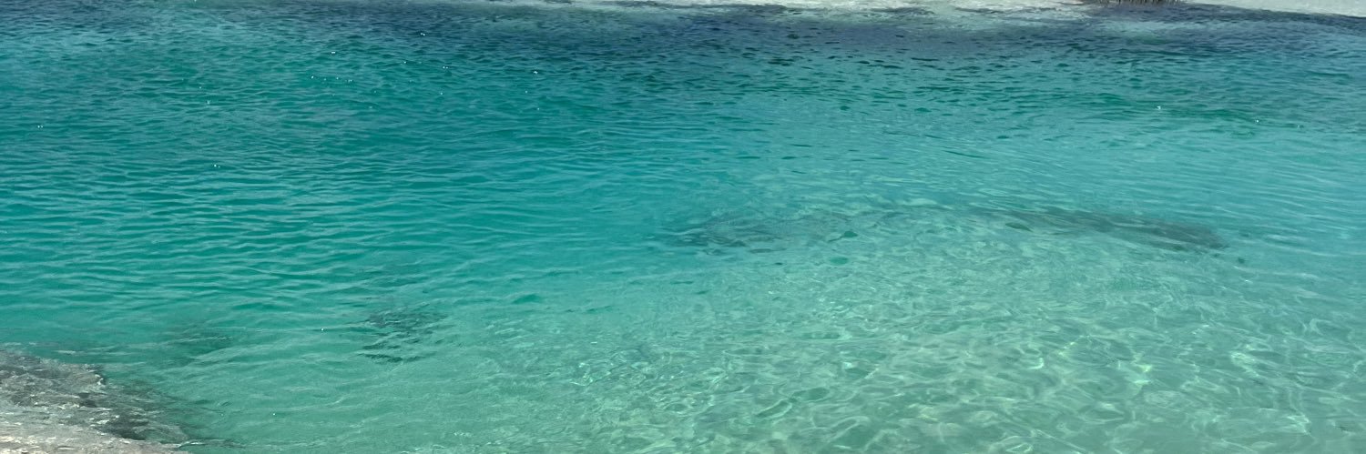guzman_jfer's profile banner image