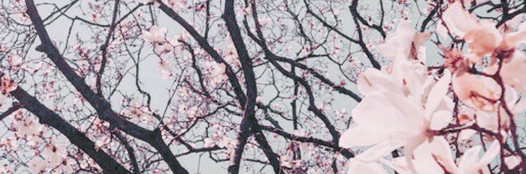 intothebloomcom's profile banner image